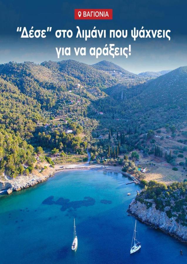 Private Beach House Irene Mare Poros Town Exteriör bild